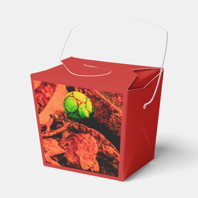 Caja Para Regalos explorador de mosquito (Front Side)
