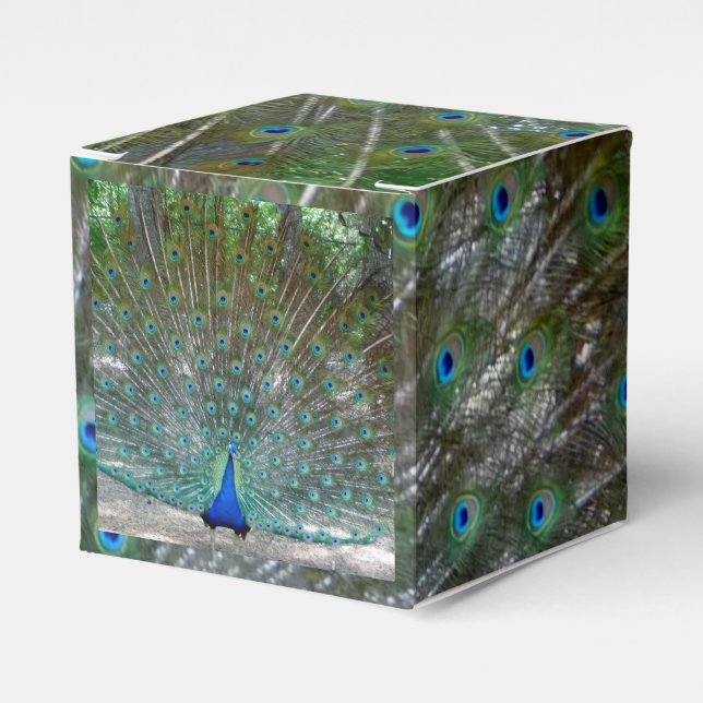 Caja Para Regalos Fiesta de diseño de pavo real (Costado Anverso)