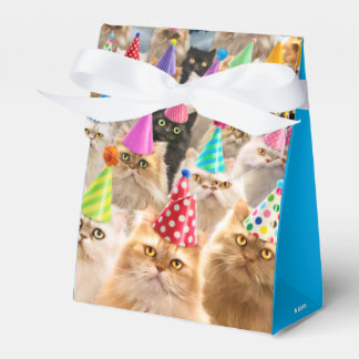 Caja Para Regalos Fiesta de Gatos