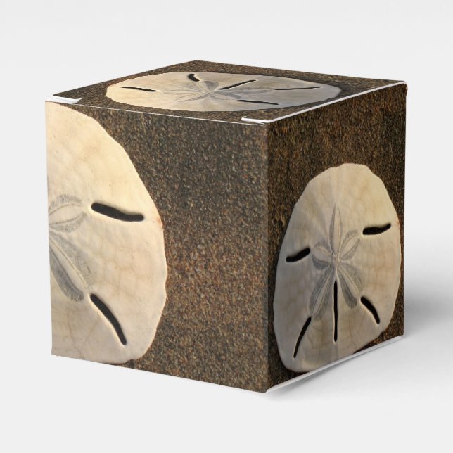 Caja Para Regalos Fiesta de la concha de la arena del dólar favorece (Costado Anverso)