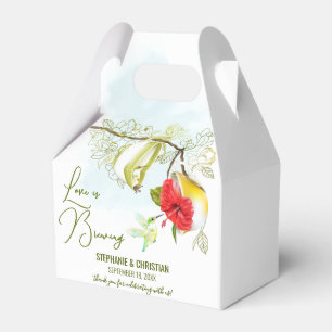 Caja Para Regalos Fiesta de Té de Colibrí El Amor Está en Ebullición
