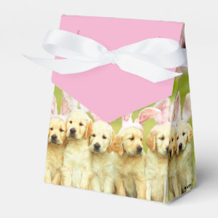 Caja Para Regalos Fila de conejitos cachorros