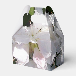 Caja Para Regalos Flor blanca de los rododendros