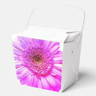 Caja Para Regalos Flor de color transvaal de la grafía de margarita