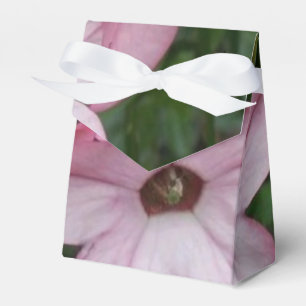 Caja Para Regalos Flor Estrella Rosa (Nicotania)