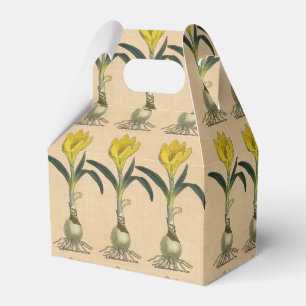 Caja Para Regalos Flor Jardín Botánico Amaryllis Tulip
