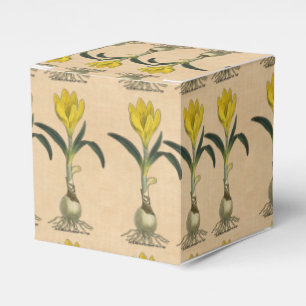 Caja Para Regalos Flor Jardín Botánico Amaryllis Tulip