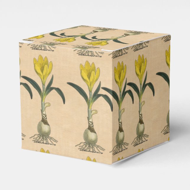 Caja Para Regalos Flor Jardín Botánico Amaryllis Tulip (Costado Anverso)