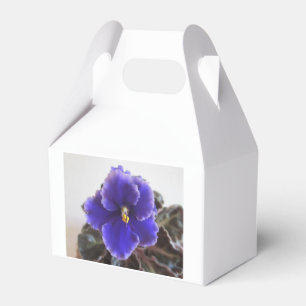 Caja Para Regalos Floración de la violeta africana