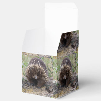 Caja Para Regalos Foto de Echidna salvaje australiana nativa