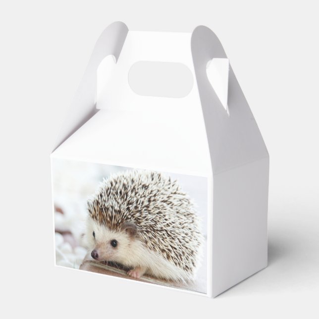 Caja Para Regalos Foto de erizo bebé lindo (Reverso)