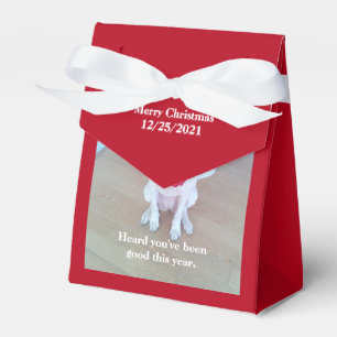 Caja Para Regalos Foto de perro lindo con curioso pegando en rojo la