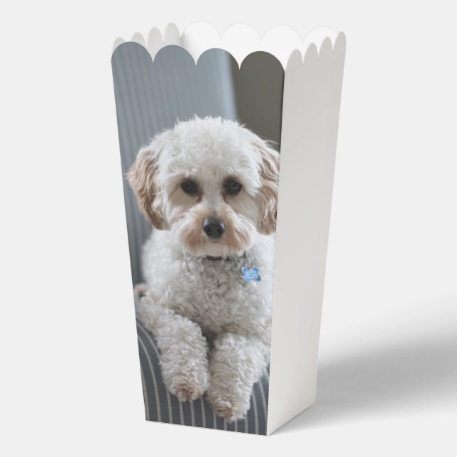 Caja Para Regalos Foto personalizada hecha por un Personalizado (Anverso)