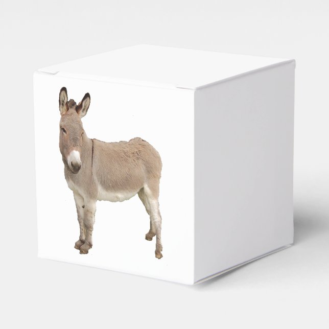 Caja Para Regalos Fotografía de Burro de burro burro burro (Costado Anverso)