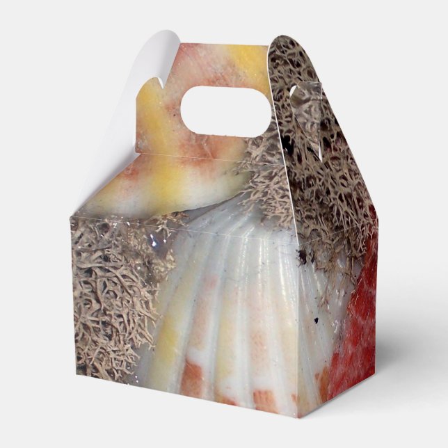 Caja Para Regalos Fotografía de conchas (Reverso)