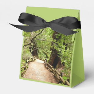 Caja Para Regalos Fotografía de la Naturaleza de Camino II de Muir W