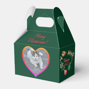 Caja Para Regalos Fotografía de navidades Santa y reno Marco verde