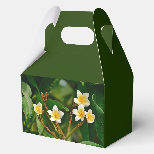 Caja Para Regalos Frangipani amarillo (Anverso)