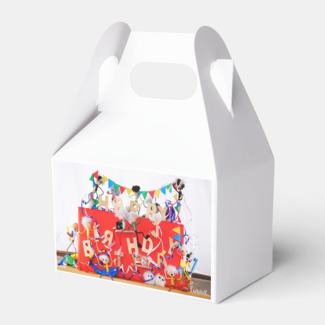 Caja Para Regalos Fubby's die feest vieren voor verjaardag. (Front Side)