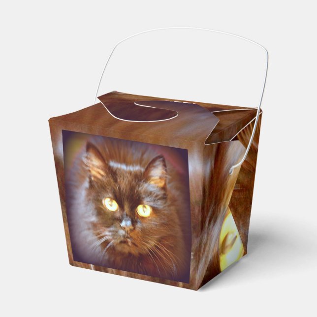 Caja Para Regalos gatito negro (Front Side)
