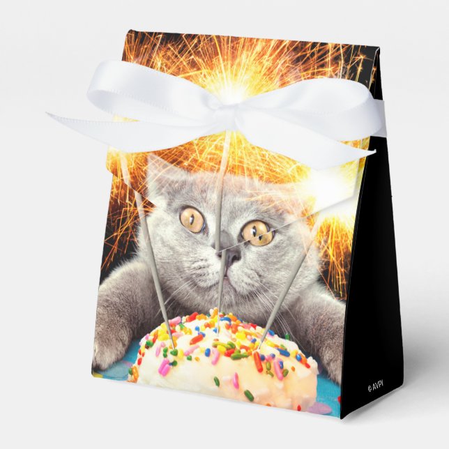 Caja Para Regalos Gato Con Pastel De Sparkler (Front Side)