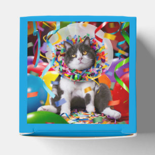 Caja Para Regalos Gato En Cono Fiesta