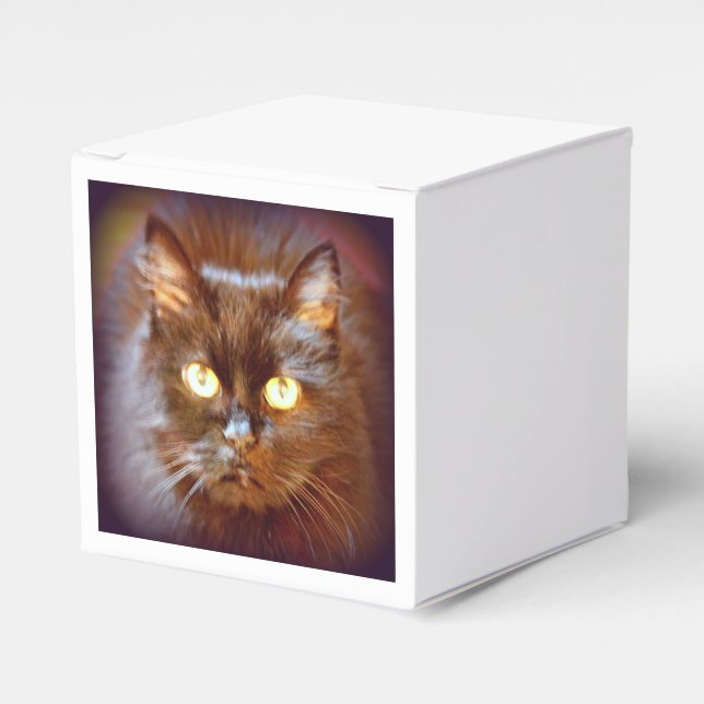 Caja Para Regalos gato negro (Costado Anverso)