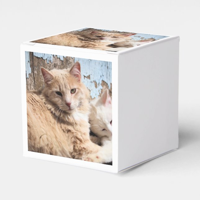 Caja Para Regalos Gatos (Costado Anverso)