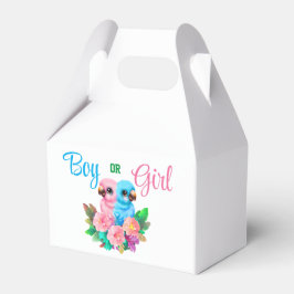 Caja Para Regalos Gemelos de loro para bebés