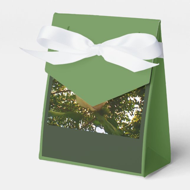 Caja Para Regalos Gigante de cinta de rosa blanca (Front Side)