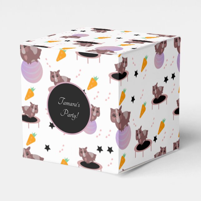 Caja Para Regalos Gimnasio para cerdos de Guinea