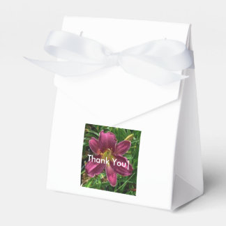 Caja Para Regalos Goodie Box