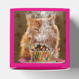 Caja Para Regalos Gracioso Gato Cranky Con Pastel De Cumpleaños Fun