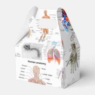Caja Para Regalos Gráficos médicos de anatomía humana