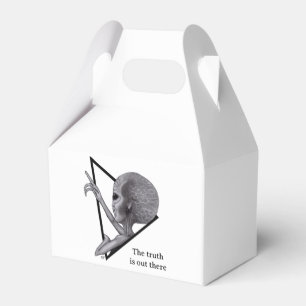 Caja Para Regalos Grey Alien, la verdad está ahí fuera