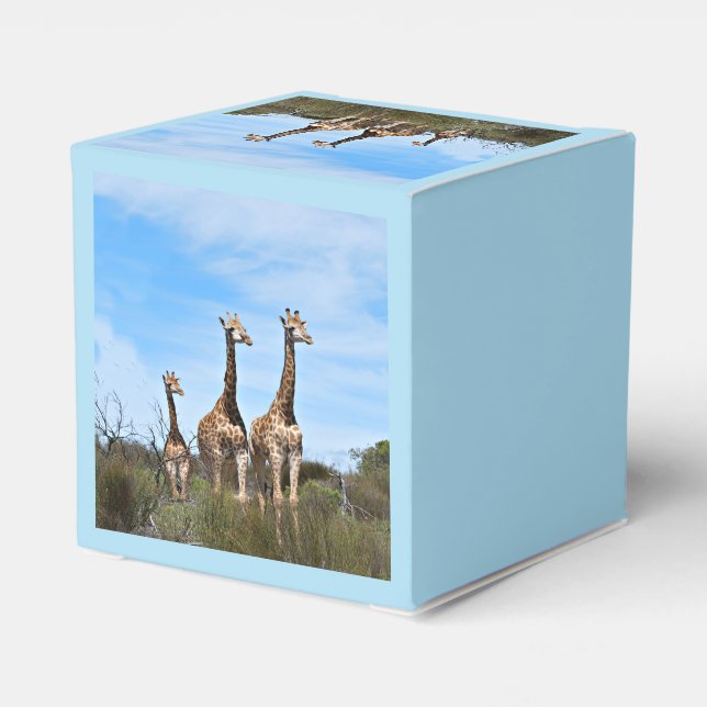 Caja Para Regalos Growing Tall Safari Wonder (Reverso Costado)