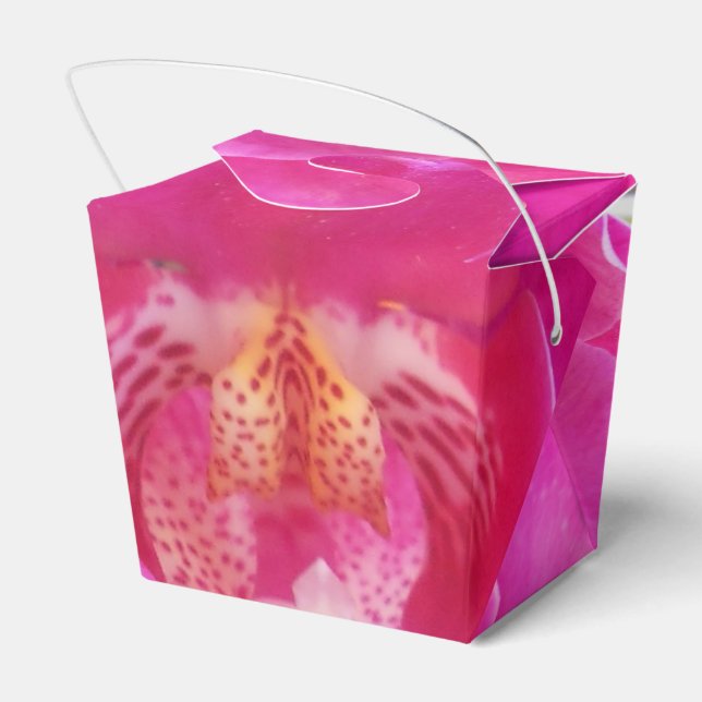 Caja Para Regalos Guda (Reverso)
