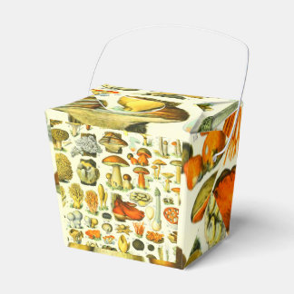 CAJA PARA REGALOS HABITACIONES 2