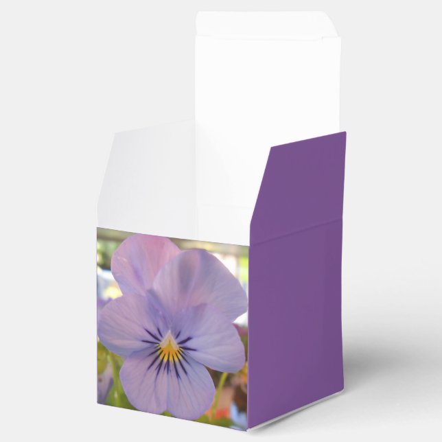 Caja Para Regalos Haetzlern (Abierto)