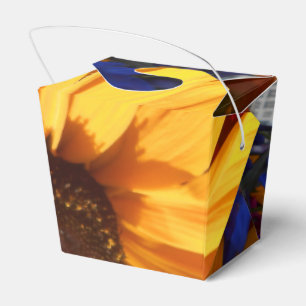 Caja Para Regalos Halse
