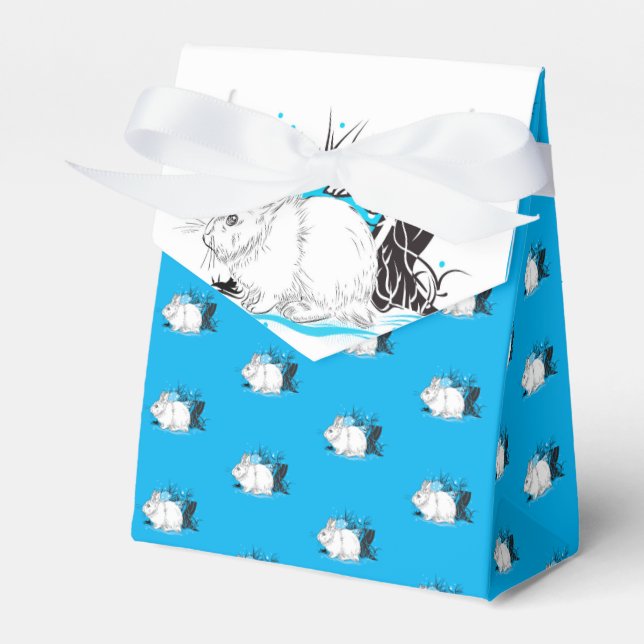 Caja Para Regalos Hare (Front Side)