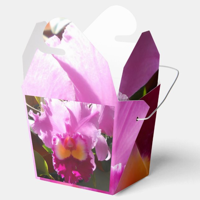 Caja Para Regalos Harlinde (Abierto)