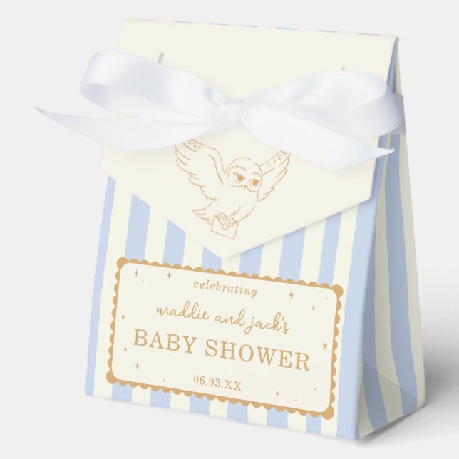 Caja Para Regalos Harry Potter Hedwig Blue Stripe Baby Shower (Anverso)