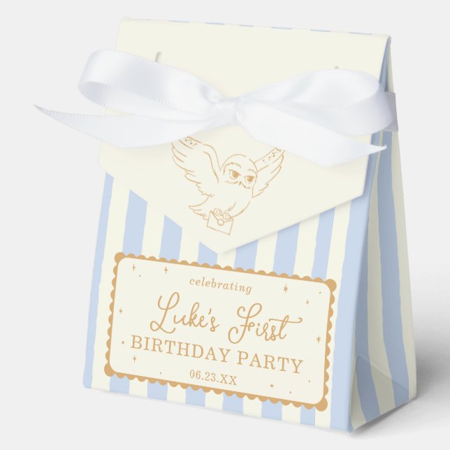 Caja Para Regalos Harry Potter Hedwig Blue Stripe Baby Shower (Anverso)