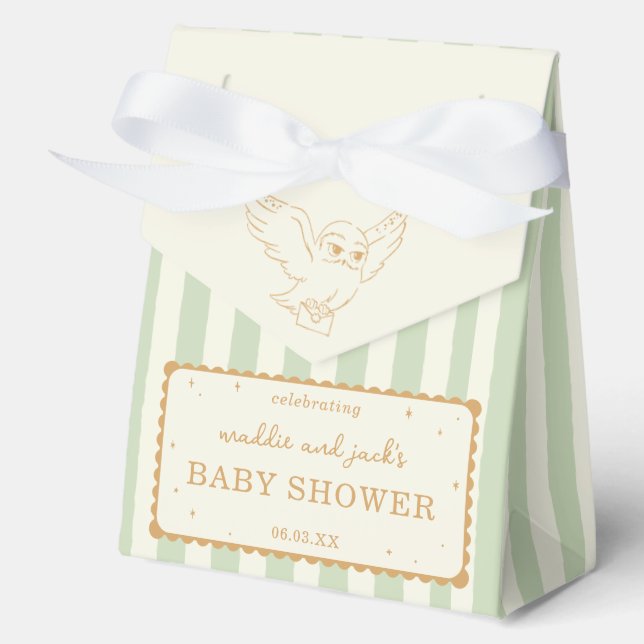 Caja Para Regalos Harry Potter Hedwig Green Stripe Baby Shower (Anverso)