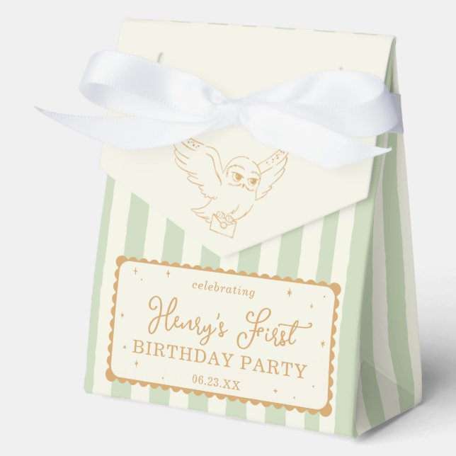 Caja Para Regalos Harry Potter Hedwig Green Stripe Baby Shower (Anverso)