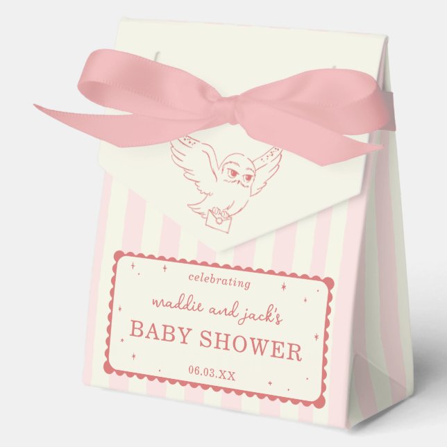 Caja Para Regalos Harry Potter Hedwig Pink Stripe Baby Shower (Anverso)