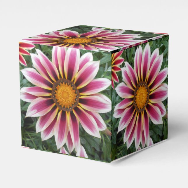 Caja Para Regalos Hereford (Costado Anverso)