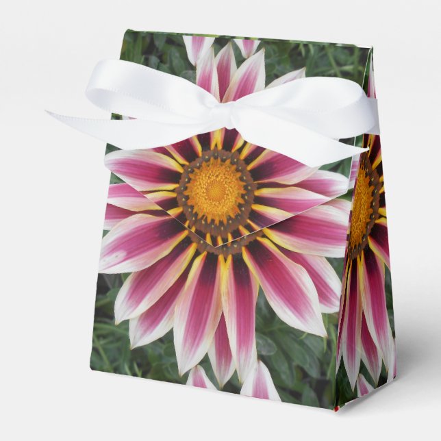Caja Para Regalos Hereford (Front Side)