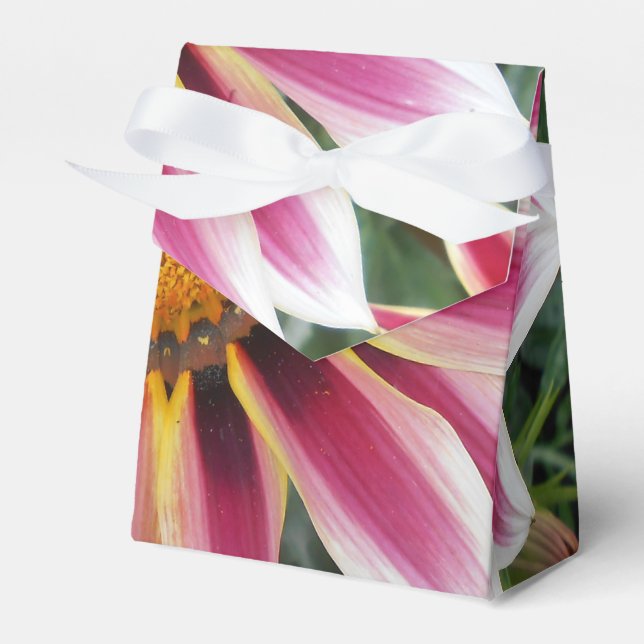 Caja Para Regalos Hereford (Front Side)